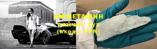 прущие грибы Снежинск