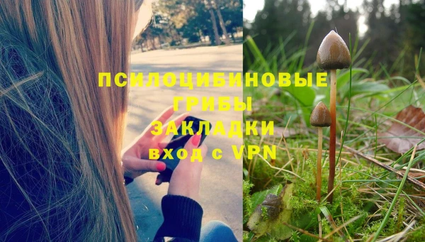 Альфа ПВП Арсеньев