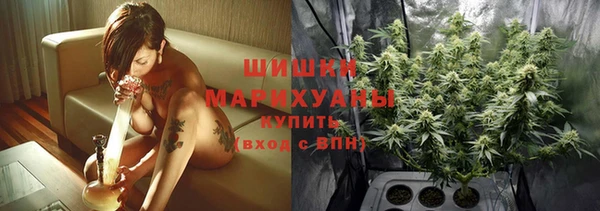 Альфа ПВП Арсеньев