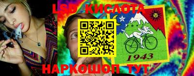 прущие грибы Новокубанск