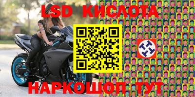 бошки Новозыбков