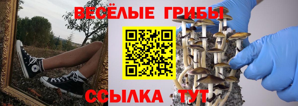 Урюпинск  Галлюциногенные грибы Psilocybe  Галлюциногенные грибы Cubensis  Вход с VPN 