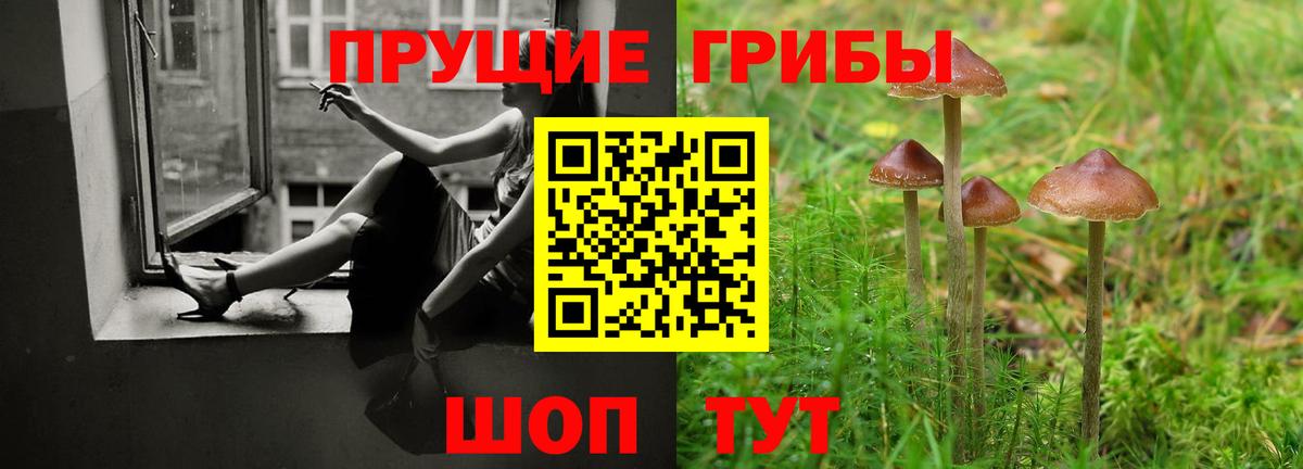 Псилоцибиновые грибы GOLDEN TEACHER Урюпинск